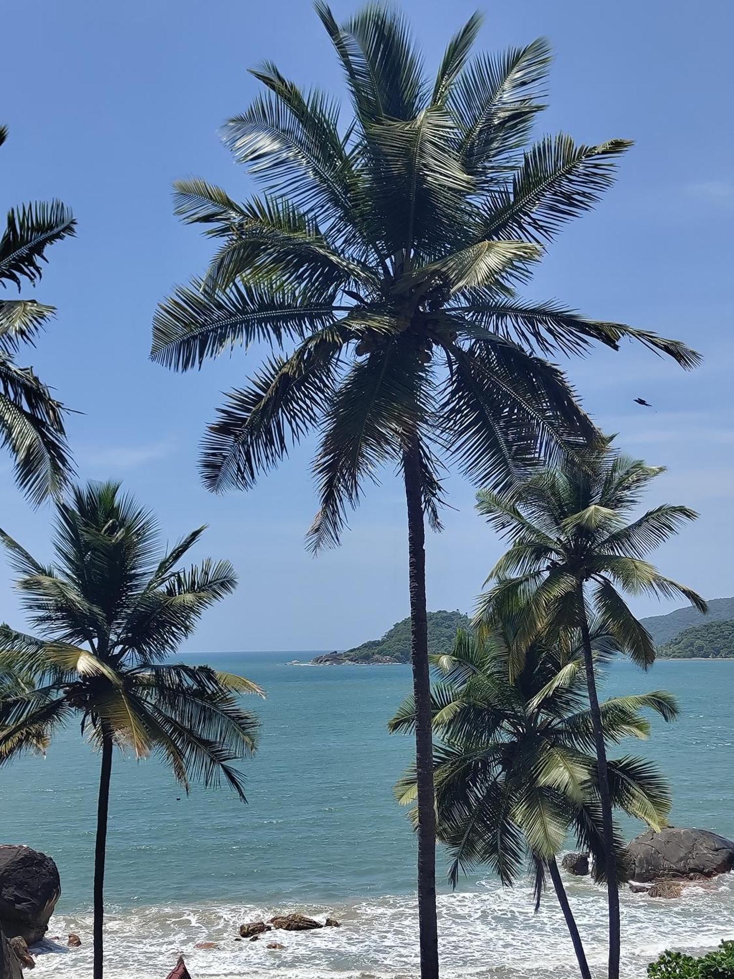 Hilltop Seaview Palolem Goa Hotel Exterior photo