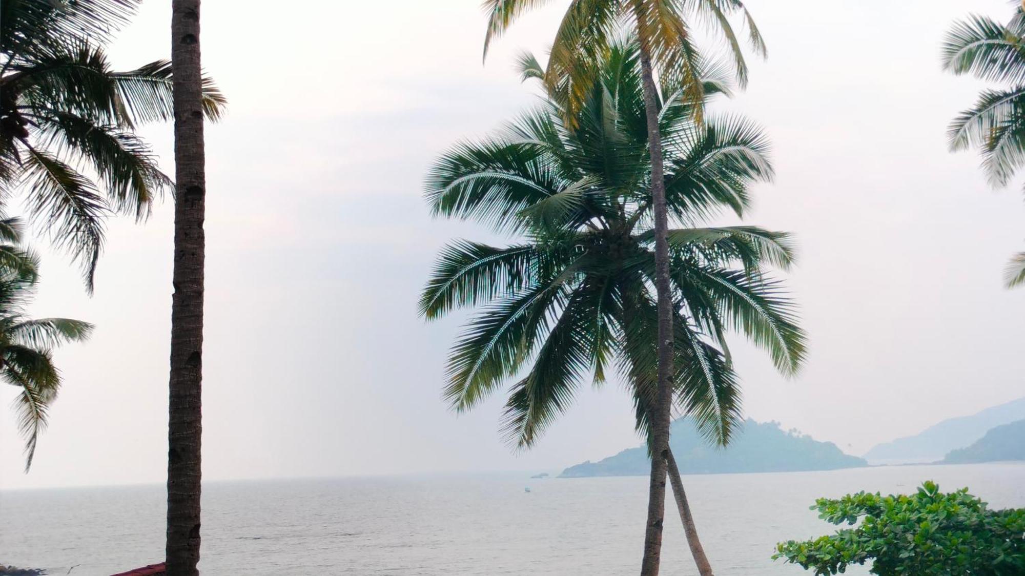 Hilltop Seaview Palolem Goa Hotel Room photo